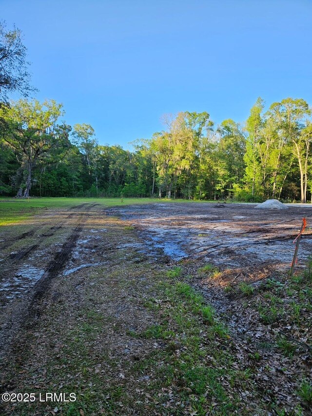 160 Delta Estates Rd, Hardeeville, SC 29909 - photo 7