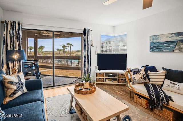 living room featuring hardwood / wood-style flooring and ceiling fan