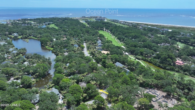 500 Remora Dr, Fripp Island, SC 29920 - photo 29