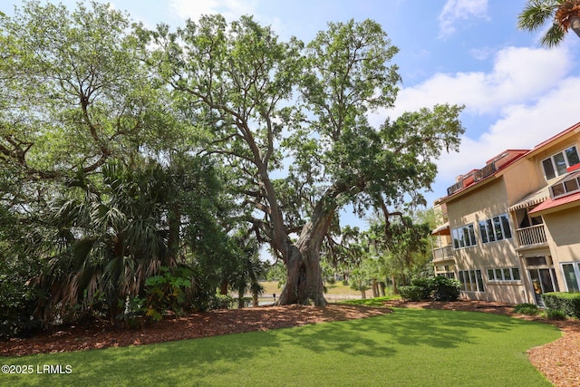 surrounding community featuring a yard