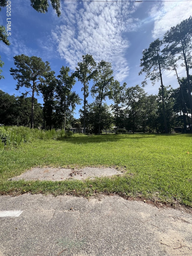 17 Luray St, Bluffton, SC 29910