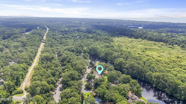 11 Lake Forest Dr Unit 3360, Hilton Head Island, SC 29928 - aerial view of a heavily wooded area and a nearby body of water