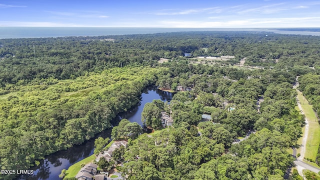 11 Lake Forest Dr Unit 3360, Hilton Head Island, SC 29928 - aerial view of property and surrounding area with a heavily wooded area and a large body of water