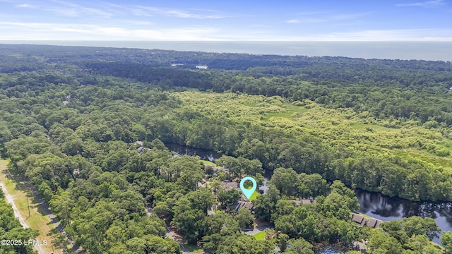 11 Lake Forest Dr Unit 3360, Hilton Head Island, SC 29928 - drone / aerial view of a heavily wooded area and a nearby body of water