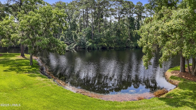 11 Lake Forest Dr Unit 3360, Hilton Head Island, SC 29928 - water view