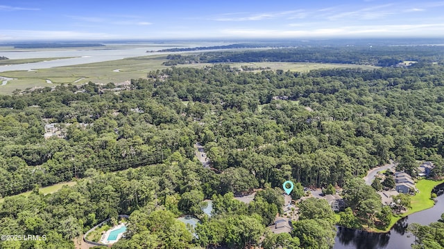 11 Lake Forest Dr Unit 3360, Hilton Head Island, SC 29928 - aerial view of a large body of water and a heavily wooded area