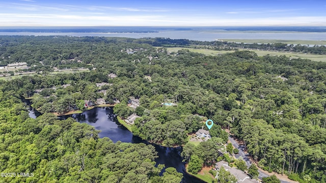 11 Lake Forest Dr Unit 3360, Hilton Head Island, SC 29928 - view of property location with a large body of water and a heavily wooded area
