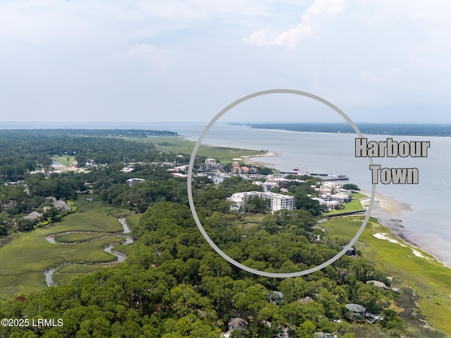 2065 Deer Island Rd, Hilton Head Island, SC 29928 - drone / aerial view of a nearby body of water