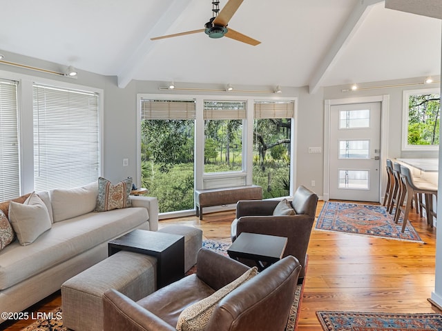 2065 Deer Island Rd, Hilton Head Island, SC 29928 - living room with a ceiling fan and wood finished floors