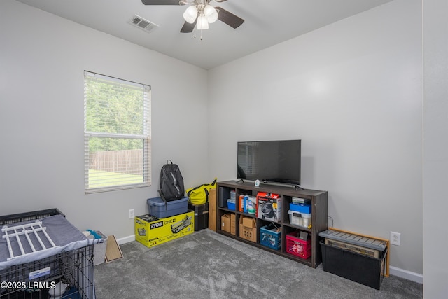28 Brasstown Way, Beaufort, SC 29906 - photo 17