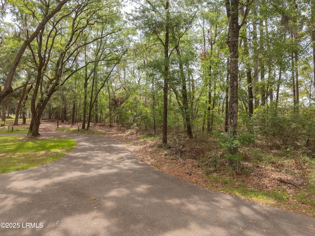 2 Lake Point Dr, Ladys Island, SC 29907 - photo 4