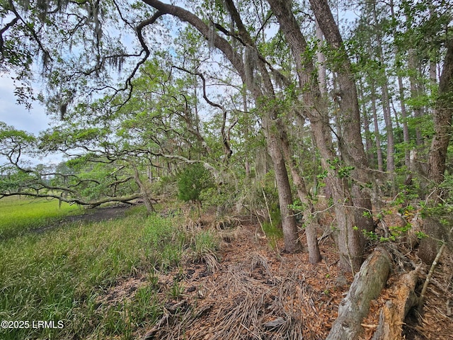 2 Lake Point Dr, Ladys Island, SC 29907 - photo 19