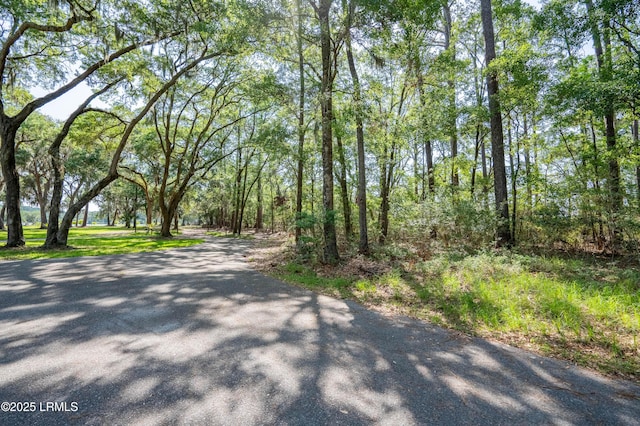 2 Lake Point Dr, Ladys Island, SC 29907 - photo 2