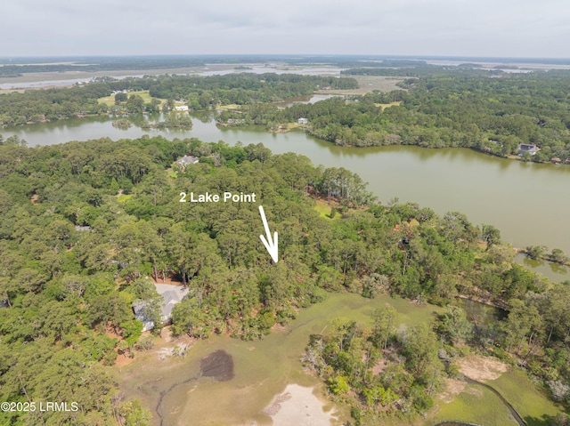 2 Lake Point Dr, Ladys Island, SC 29907 - photo 6