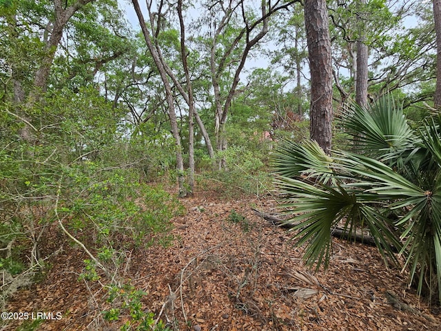 2 Lake Point Dr, Ladys Island, SC 29907 - photo 18