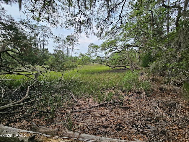 2 Lake Point Dr, Ladys Island, SC 29907 - photo 20