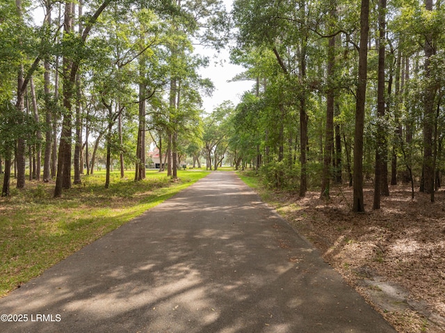 2 Lake Point Dr, Ladys Island, SC 29907 - photo 3
