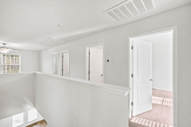 corridor featuring carpet floors, visible vents, and attic access