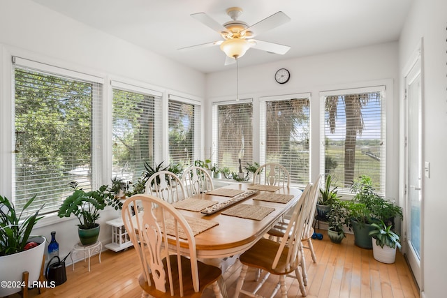 sunroom / solarium with ceiling fan