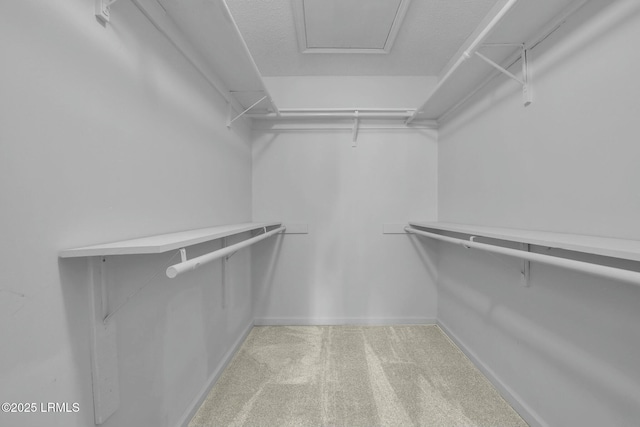 walk in closet with light colored carpet