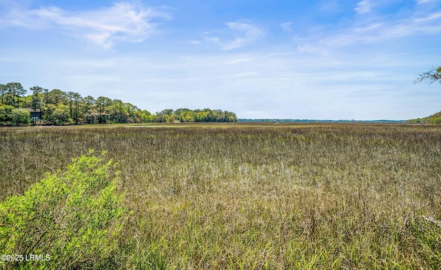 16 Cameroon Dr, Beaufort, SC 29907 - photo 43