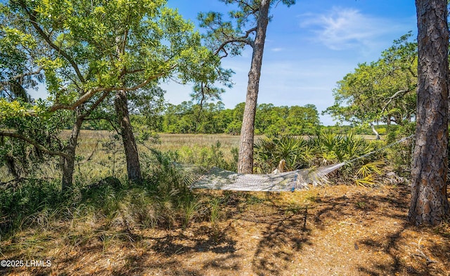 16 Cameroon Dr, Beaufort, SC 29907 - photo 47