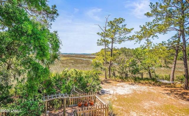 16 Cameroon Dr, Beaufort, SC 29907 - photo 41