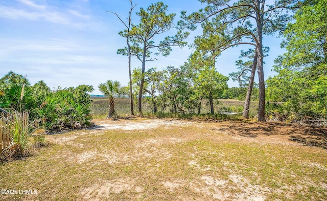 16 Cameroon Dr, Beaufort, SC 29907 - photo 42