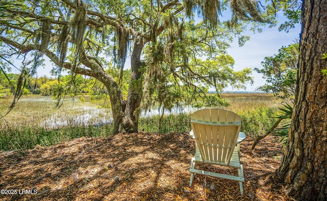 16 Cameroon Dr, Beaufort, SC 29907 - photo 48
