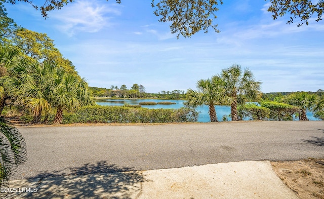 16 Cameroon Dr, Beaufort, SC 29907 - photo 53