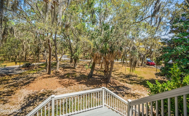 16 Cameroon Dr, Beaufort, SC 29907 - photo 52