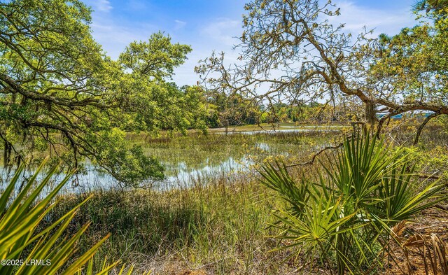16 Cameroon Dr, Beaufort, SC 29907 - photo 44