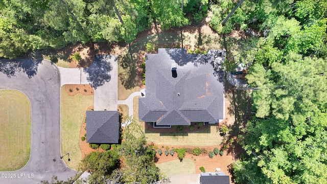 bird's eye view
