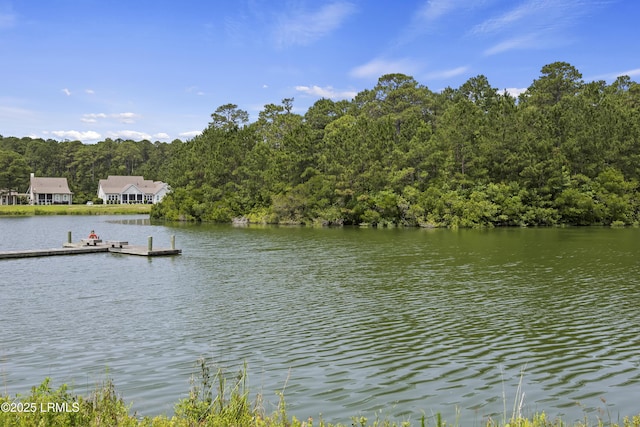 10 Skipperling Ln, Bluffton, SC 29909 - photo 47