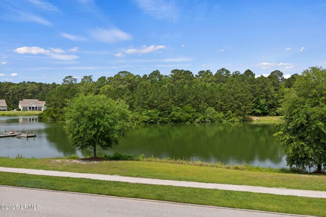 10 Skipperling Ln, Bluffton, SC 29909 - photo 48