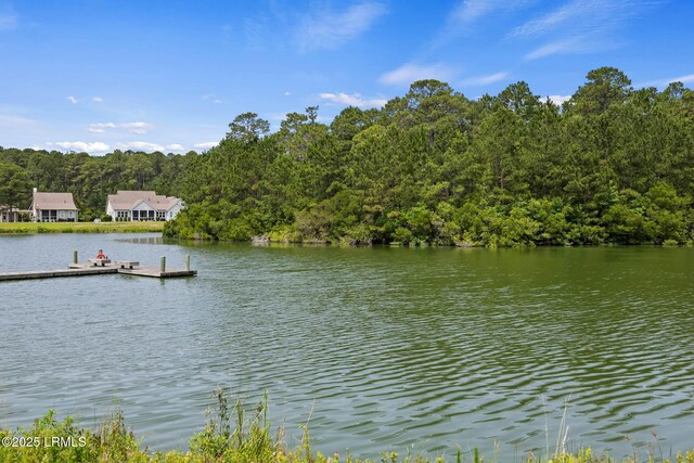 10 Skipperling Ln, Bluffton, SC 29909 - photo 49