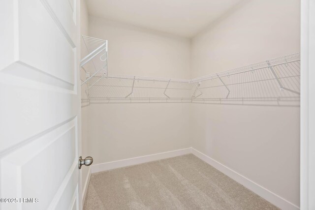 10 Skipperling Ln, Bluffton, SC 29909 - photo 35