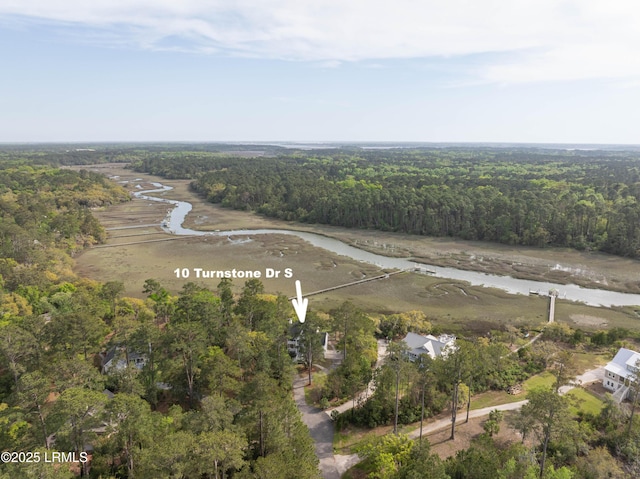 10 Turnstone Dr S, Beaufort, SC 29907 - photo 33
