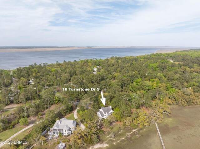 10 Turnstone Dr S, Beaufort, SC 29907 - photo 35