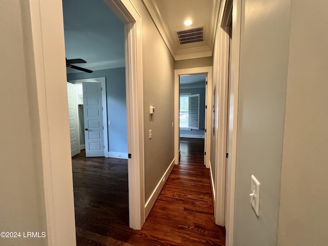 hallway with ornamental molding and dark hardwood / wood-style floors