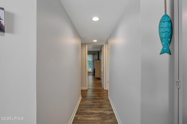 hallway featuring dark wood-type flooring