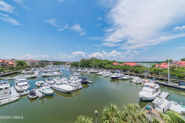 view of dock with a water view