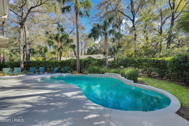 18 Baynard Cove Rd, Hilton Head Island, SC 29928 - view of pool featuring fence, a patio area, and a fenced in pool