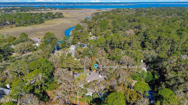 18 Baynard Cove Rd, Hilton Head Island, SC 29928 - bird's eye view with a view of trees and a water view