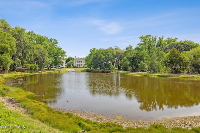 37 Park Sq S, Beaufort, SC 29907 - photo 76
