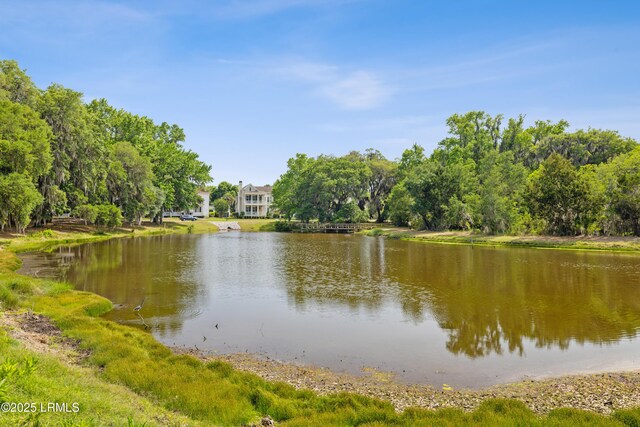 37 Park Sq S, Beaufort, SC 29907 - photo 75