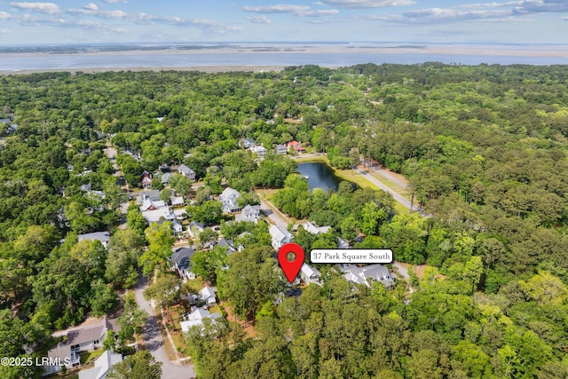 37 Park Sq S, Beaufort, SC 29907 - photo 60