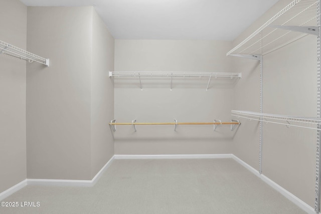 spacious closet with carpet