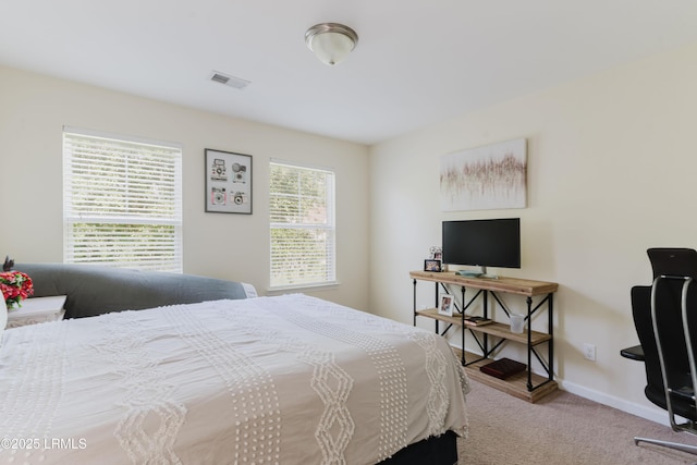 63 Sago Palm Dr, Bluffton, SC 29910 - photo 27
