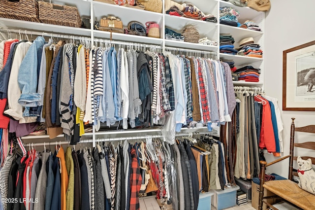 view of spacious closet